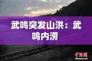 武鸣突发山洪:武鸣内涝