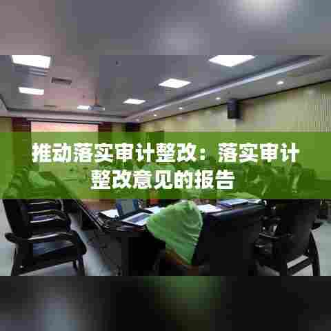 推动落实审计整改：落实审计整改意见的报告 