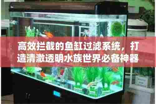 高效拦截的鱼缸过滤系统，打造清澈透明水族世界必备神器！