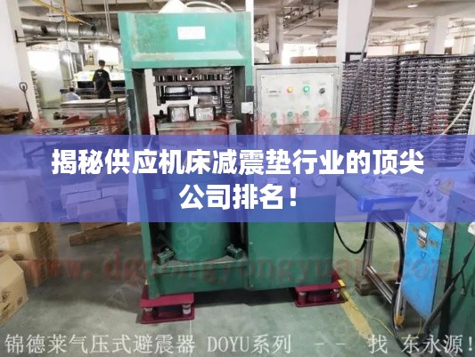揭秘供应机床减震垫行业的顶尖公司排名!