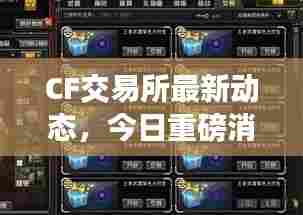 CF交易所最新动态，今日重磅消息揭秘