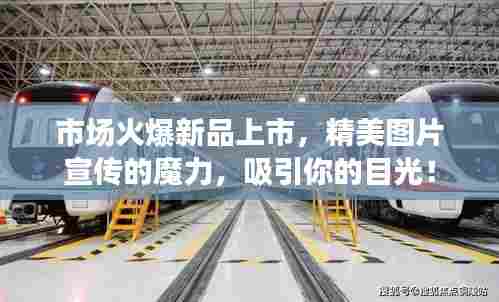 市场火爆新品上市,精美图片宣传的魔力,吸引你的目光!