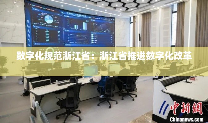 数字化规范浙江省:浙江省推进数字化改革