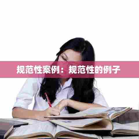 规范性案例:规范性的例子