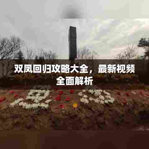 双凤回归攻略大全，最新视频全面解析