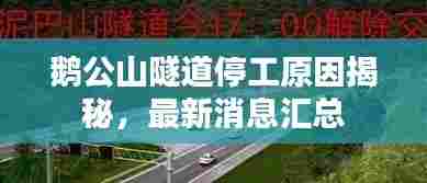 碧瓦飞甍 第6页