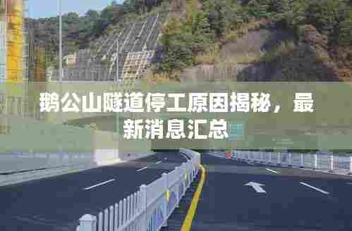 鹅公山隧道停工原因揭秘,最新消息汇总