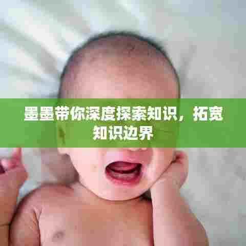 墨墨带你深度探索知识,拓宽知识边界