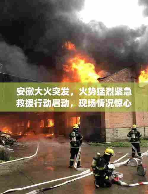 安徽大火突发，火势猛烈紧急救援行动启动，现场情况惊心动魄