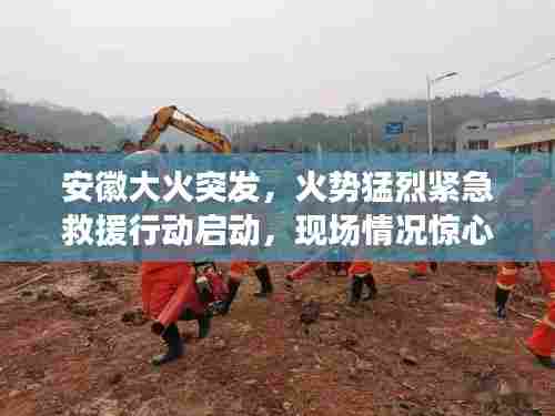 安徽大火突发,火势猛烈紧急救援行动启动,现场情况惊心动魄