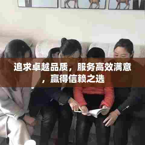 追求卓越品质,服务高效满意,赢得信赖之选