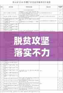 脱贫攻坚落实不力奖惩：脱贫攻坚绩效考核反馈问题整改报告 