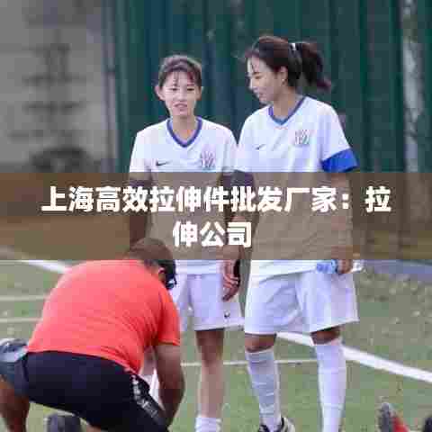 上海高效拉伸件批发厂家:拉伸公司