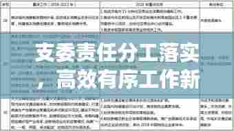 支委责任分工落实，高效有序工作新格局构建启动
