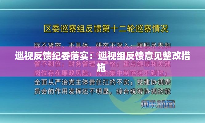 巡视反馈纪委落实:巡视组反馈意见整改措施