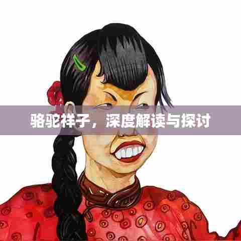 骆驼祥子,深度解读与探讨