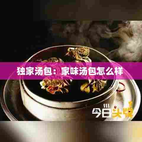 独家汤包:家味汤包怎么样