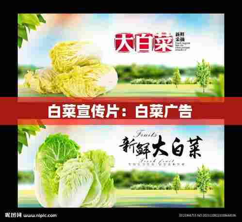 白菜宣传片：白菜广告 