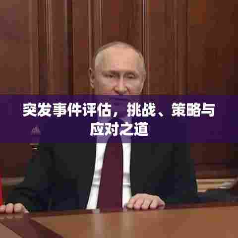 突发事件评估，挑战、策略与应对之道