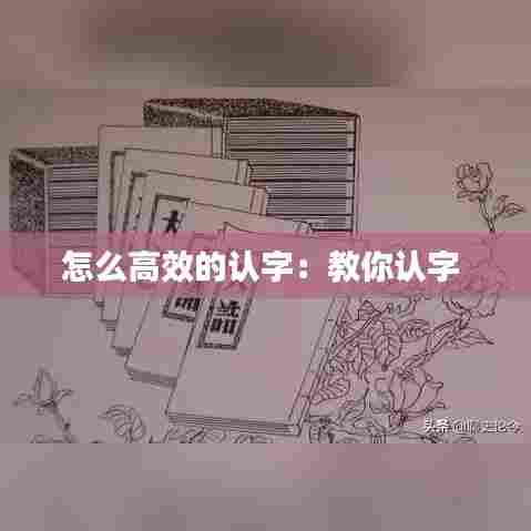 怎么高效的认字：教你认字 