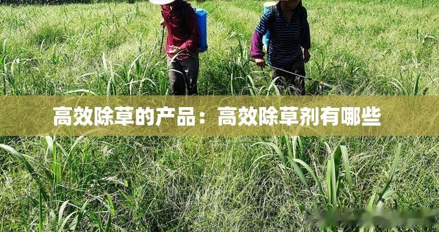 高效除草的产品：高效除草剂有哪些 