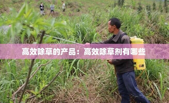 高效除草的产品:高效除草剂有哪些