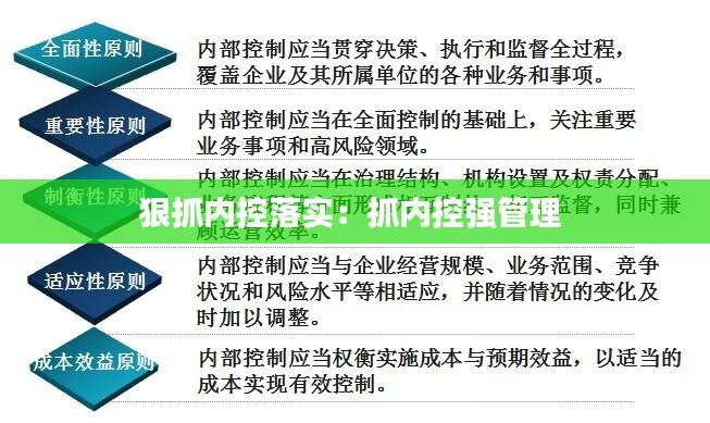 狠抓内控落实:抓内控强管理