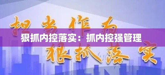 狠抓内控落实:抓内控强管理