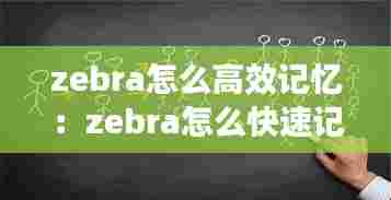zebra怎么高效记忆：zebra怎么快速记忆 