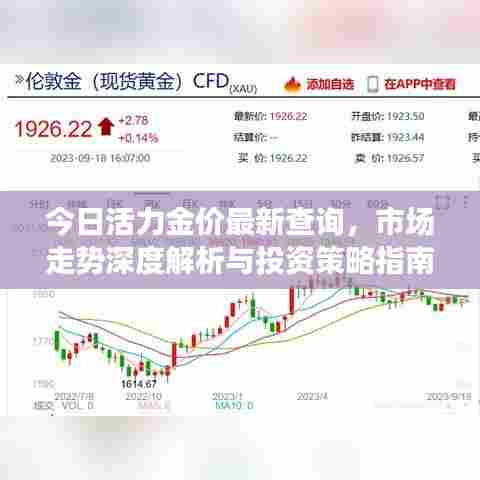 今日活力金价最新查询，市场走势深度解析与投资策略指南