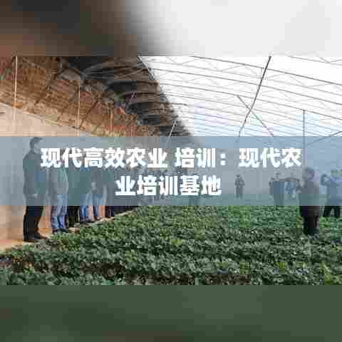 鸟云之阵 第6页