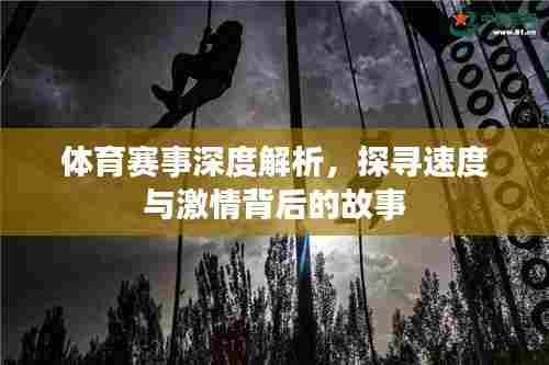 体育赛事深度解析，探寻速度与激情背后的故事