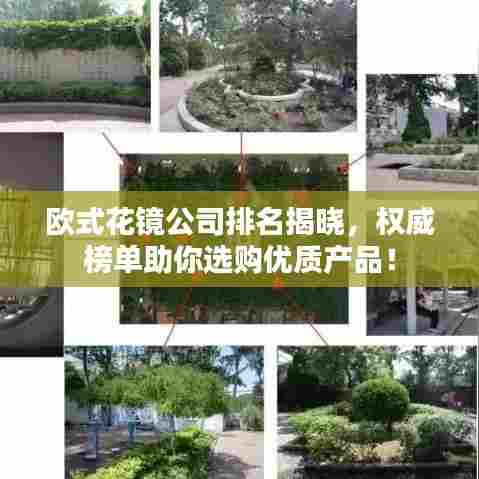 欧式花镜公司排名揭晓,权威榜单助你选购优质产品!
