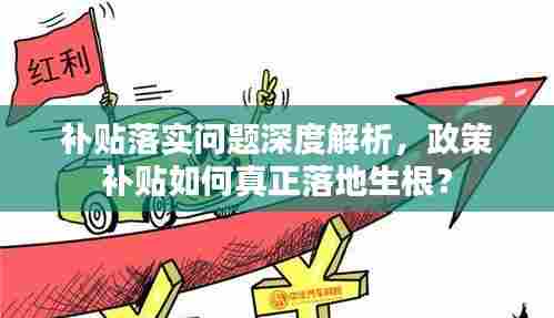 补贴落实问题深度解析，政策补贴如何真正落地生根？