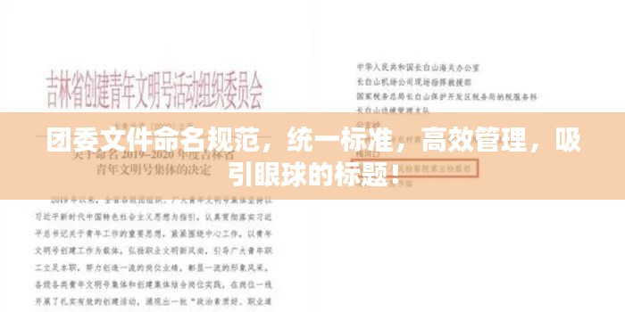 团委文件命名规范,统一标准,高效管理,吸引眼球的标题!