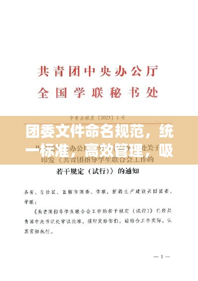 团委文件命名规范,统一标准,高效管理,吸引眼球的标题!