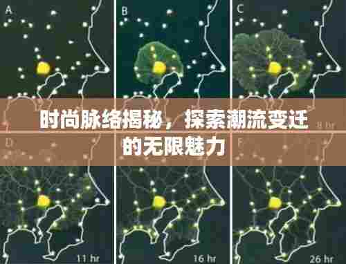 时尚脉络揭秘,探索潮流变迁的无限魅力