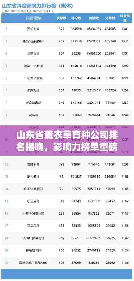 山东省薰衣草育种公司排名揭晓，影响力榜单重磅出炉！