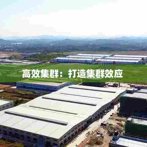 高效集群:打造集群效应