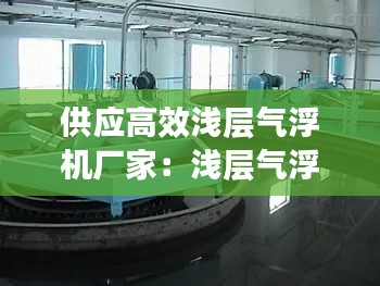 供应高效浅层气浮机厂家：浅层气浮机图纸 