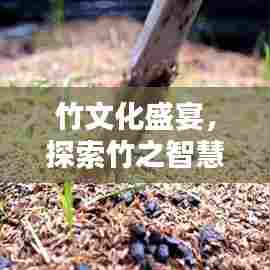 见缝就钻 第7页