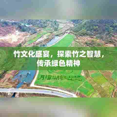 竹文化盛宴,探索竹之智慧,传承绿色精神