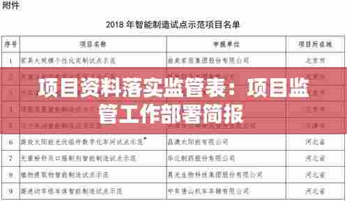 项目资料落实监管表：项目监管工作部署简报 