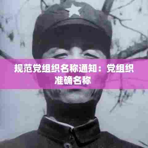 规范党组织名称通知：党组织准确名称 