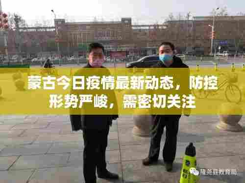 蒙古今日疫情最新动态，防控形势严峻，需密切关注