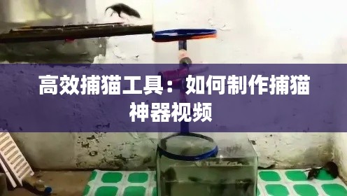 高效捕猫工具：如何制作捕猫神器视频 