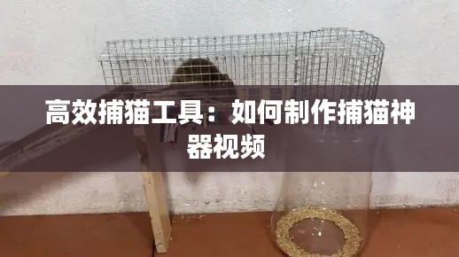 高效捕猫工具:如何制作捕猫神器视频