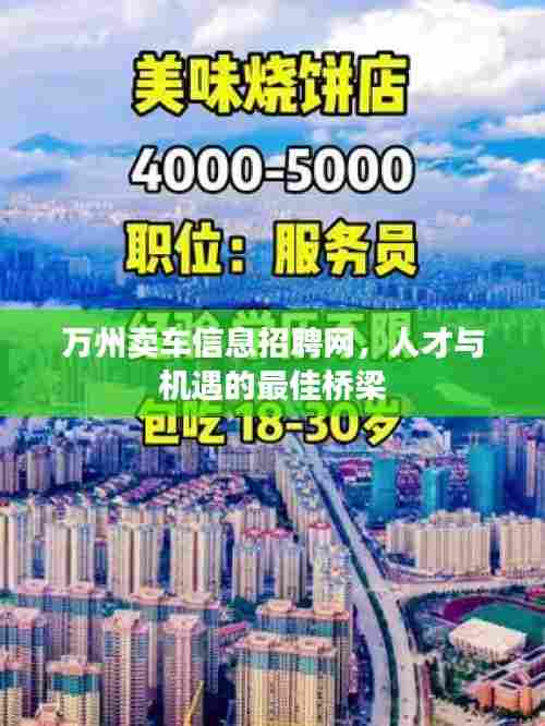 万州卖车信息招聘网,人才与机遇的最佳桥梁