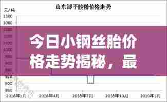 今日小钢丝胎价格走势揭秘，最新报价及市场分析