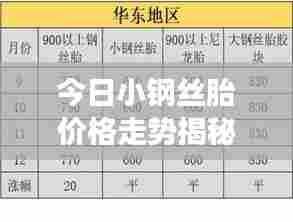 今日小钢丝胎价格走势揭秘,最新报价及市场分析